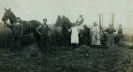 Żniwa w Gębicach, 1936 rok. Konia trzyma Antoni Fabijańczyk, z sierpem jego siostra Marianna _1